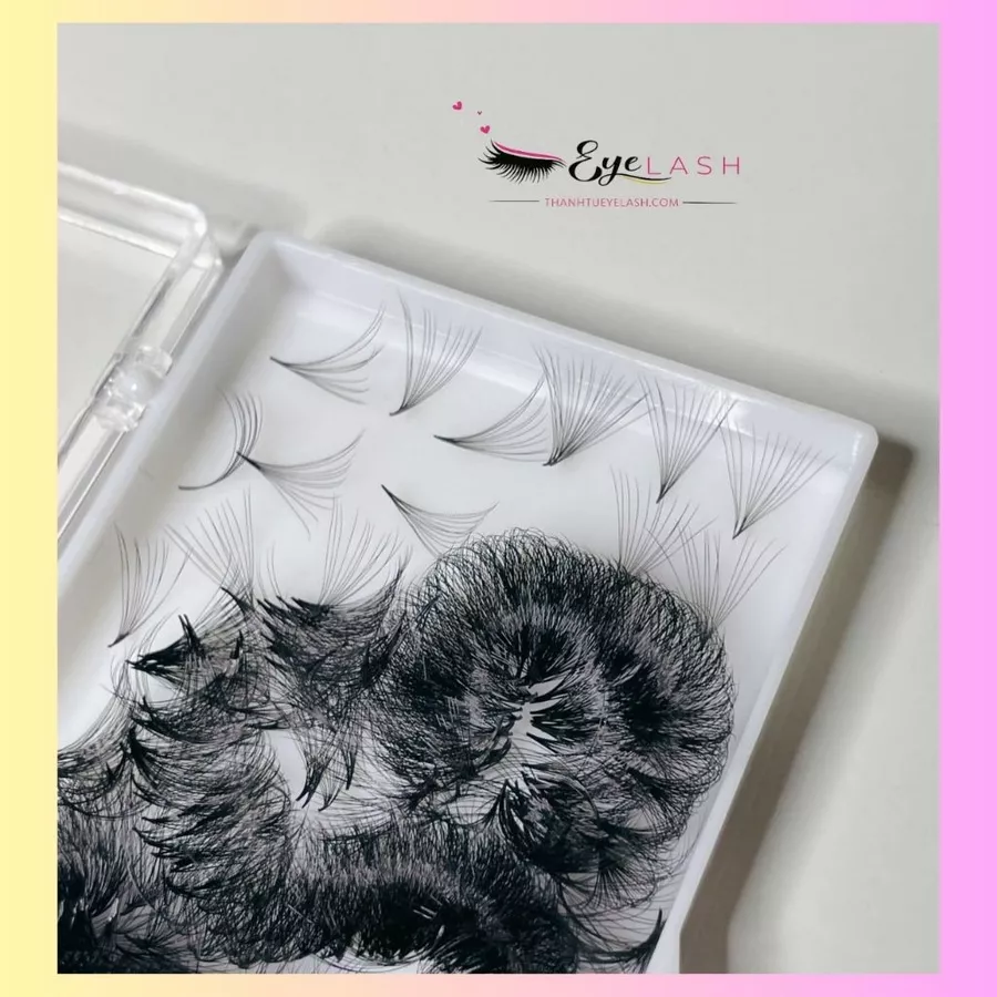 Lông Mi Fan Sẳn 12D- 0.05-C (Fan Lash Extensions)- Mi Volume 12D. Công Ty sản xuất Lông Mi Thanh Tú EyeLash.
