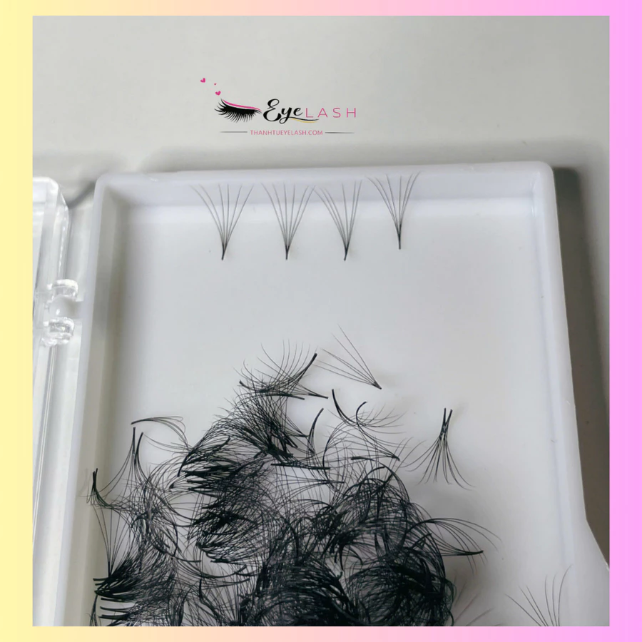 Lông Mi Fan Sẳn 6D -0.07 - Premade Fan 6D. Xưởng sản xuất Lông Mi Thanh Tú EyeLash.