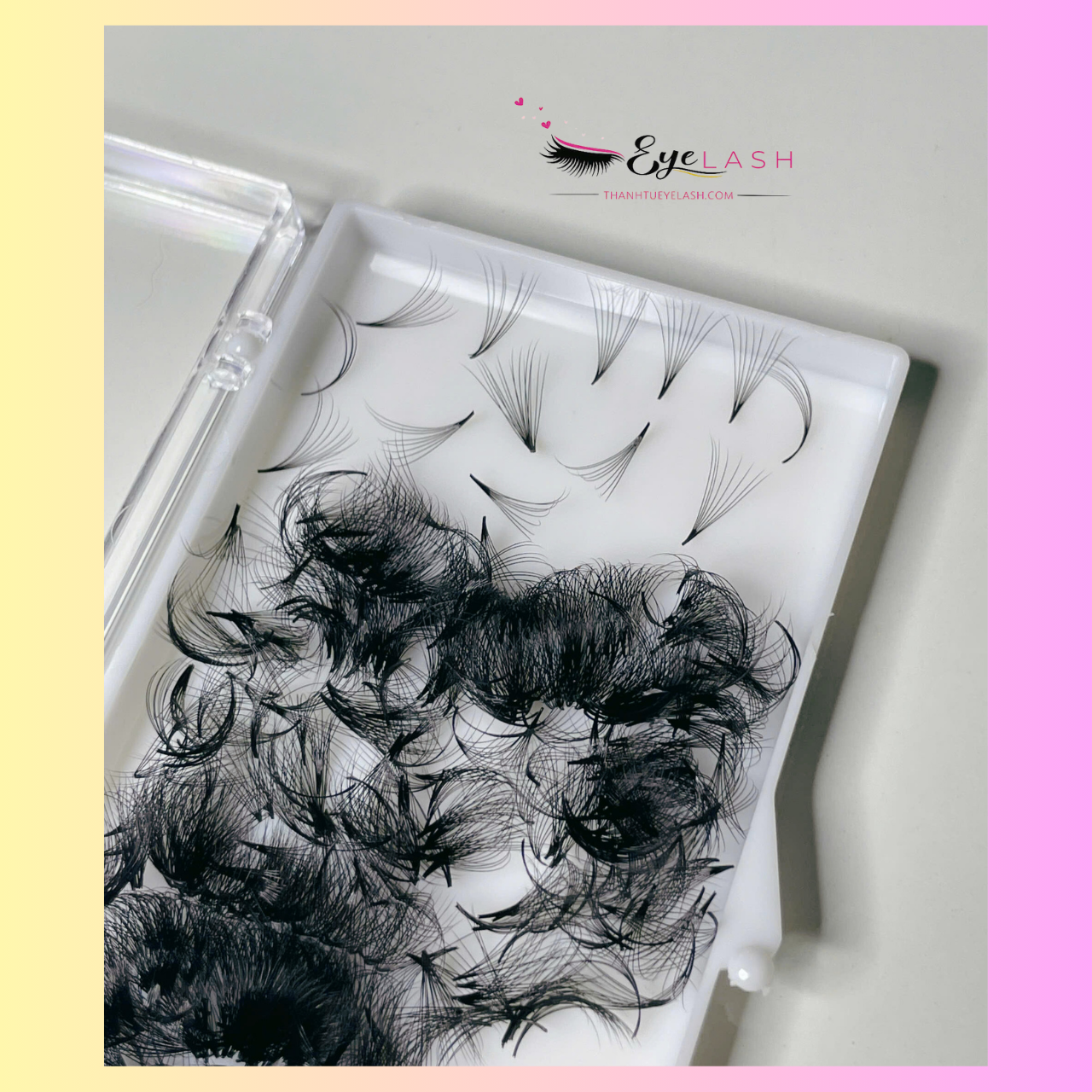 Lý Do Nên Chọn Mi Fan Xưởng Từ Thanh Tú EyeLash